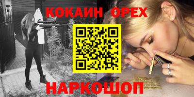 гашик Аргун