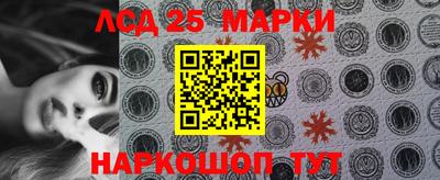 гашик Аргун