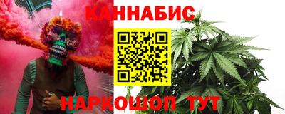 гашик Аргун