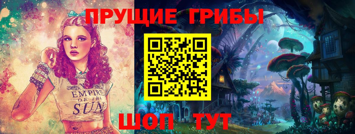 Псилоцибиновые грибы мицелий Великий Новгород