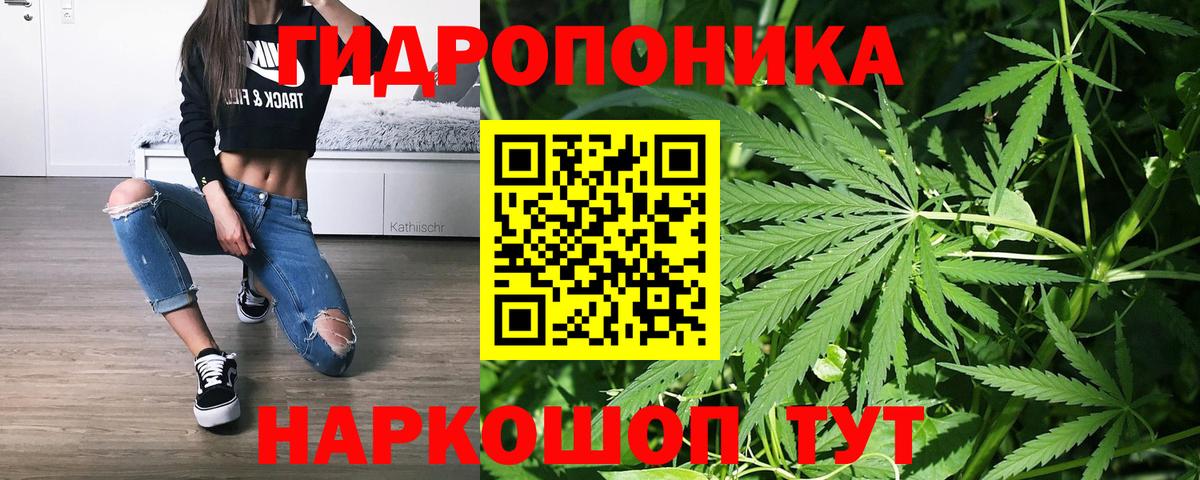 Канабис OG Kush  Вход с VPN  Конопля Amnesia  Великий Новгород  Конопля LSD WEED 
